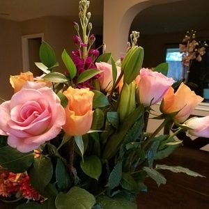 Meet your Posher, Norma